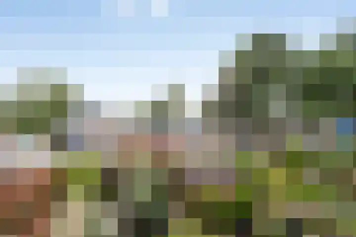Stikkelwaard 130 Alkmaar thumbnail 18