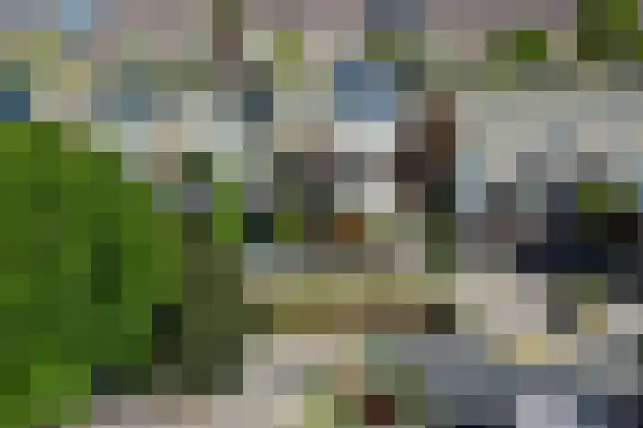 Stikkelwaard 130 Alkmaar thumbnail 19