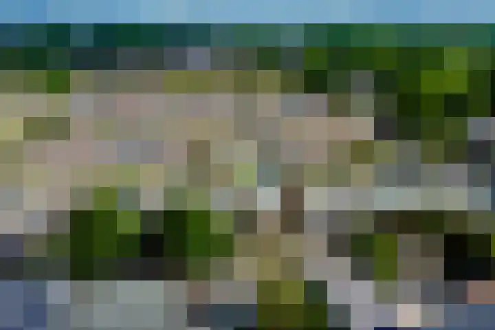 Stikkelwaard 130 Alkmaar thumbnail 20