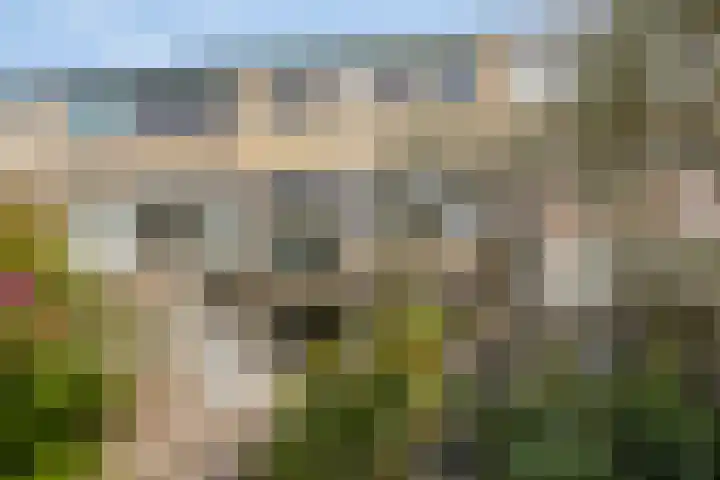 Stikkelwaard 130 Alkmaar thumbnail 21