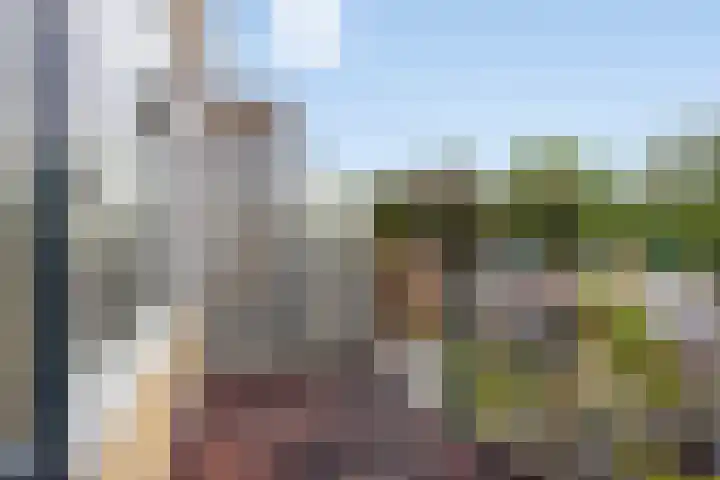 Stikkelwaard 130 Alkmaar thumbnail 22