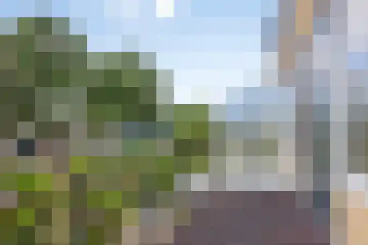 Stikkelwaard 130 Alkmaar thumbnail 23