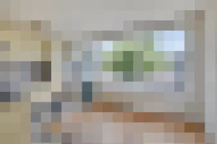 Stikkelwaard 130 Alkmaar thumbnail 31