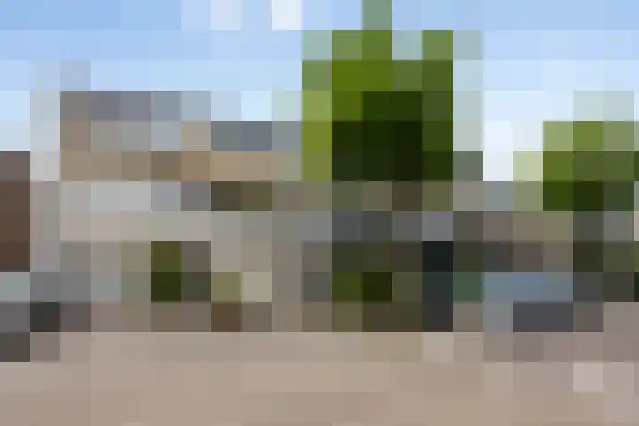 Stikkelwaard 130 Alkmaar thumbnail 43