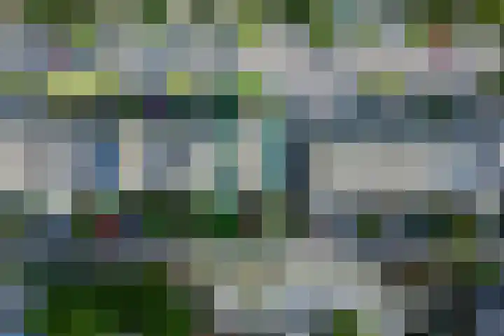 Stikkelwaard 130 Alkmaar thumbnail 46
