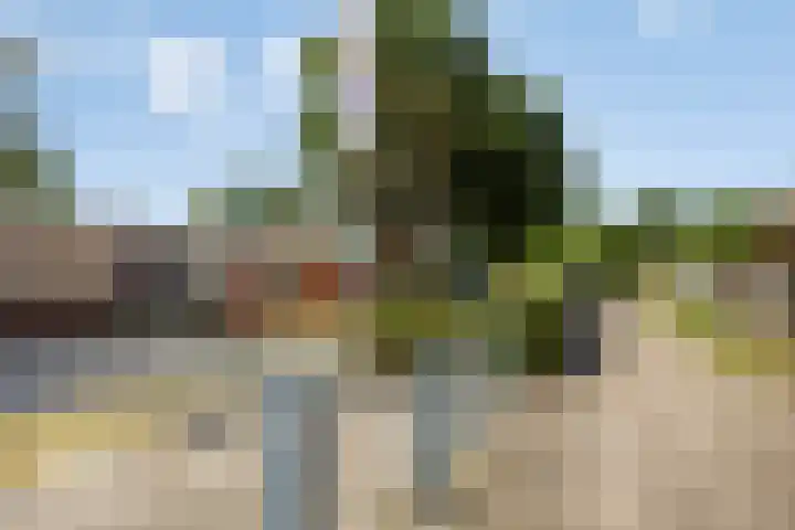Stikkelwaard 130 Alkmaar thumbnail 49