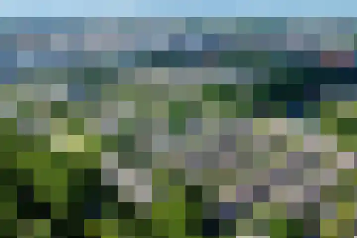 Stikkelwaard 130 Alkmaar thumbnail 5