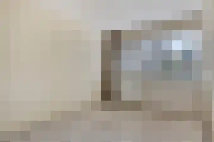 Stikkelwaard 130 Alkmaar thumbnail 9