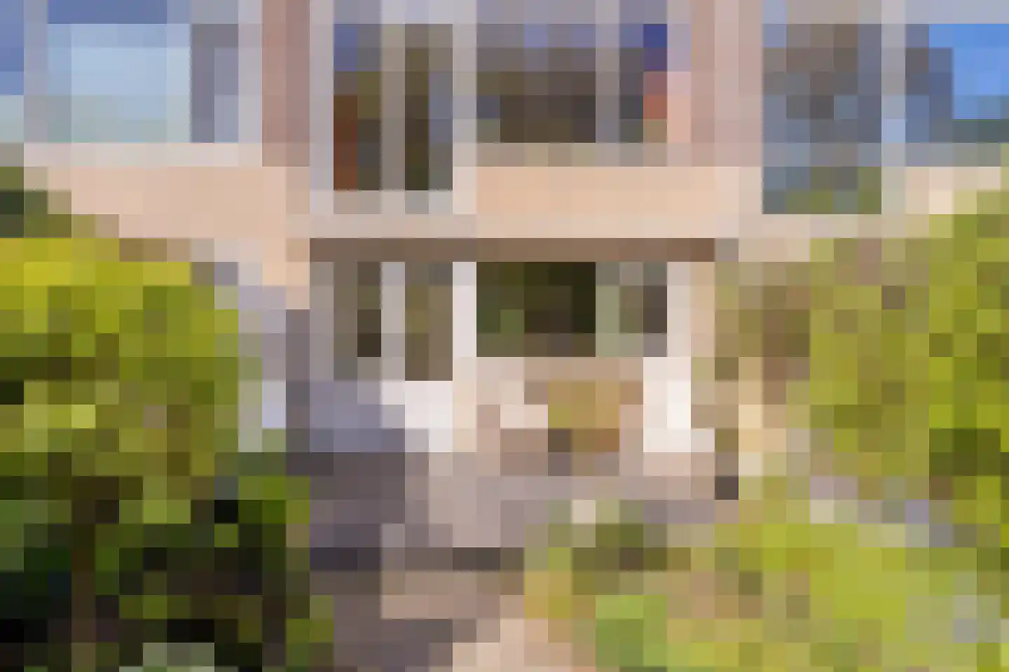 Stikkelwaard 162 Alkmaar thumbnail 14