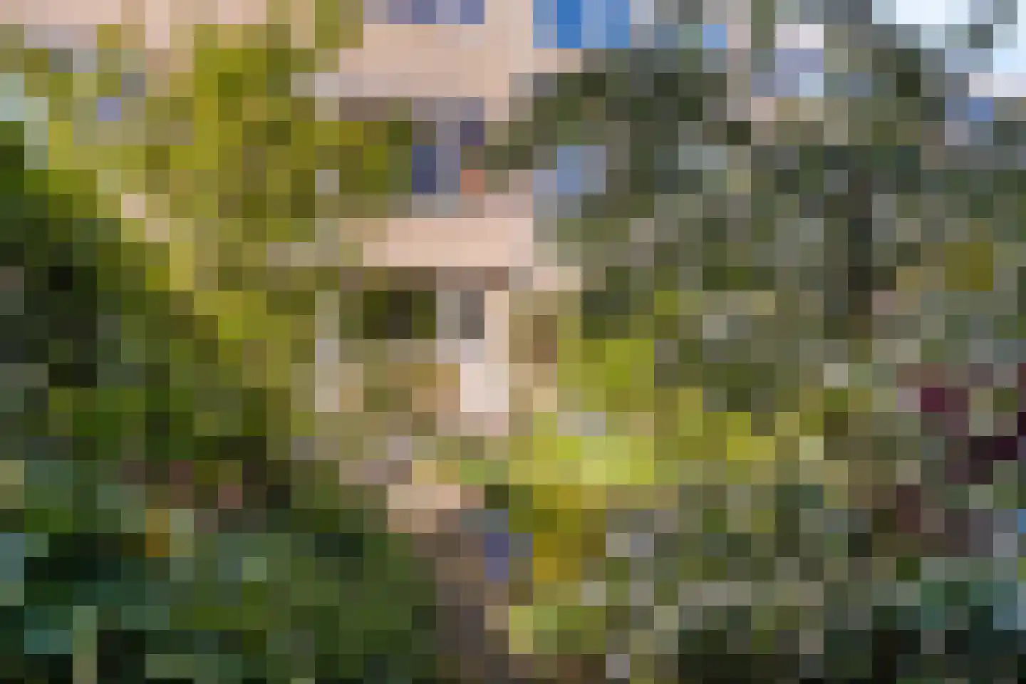 Stikkelwaard 162 Alkmaar thumbnail 17