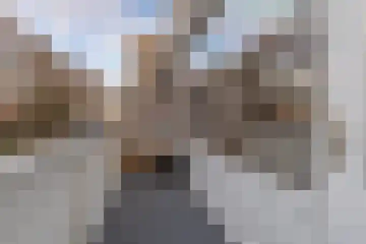 Stikkelwaard 164 Alkmaar thumbnail 14