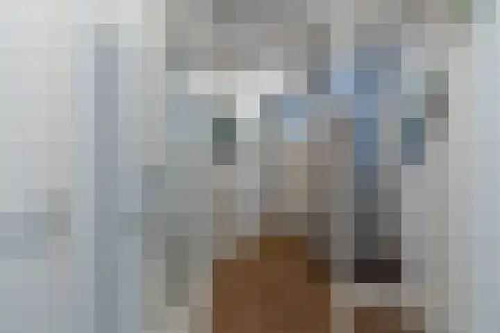 Stikkelwaard 164 Alkmaar thumbnail 15