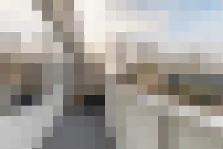 Stikkelwaard 164 Alkmaar thumbnail 17