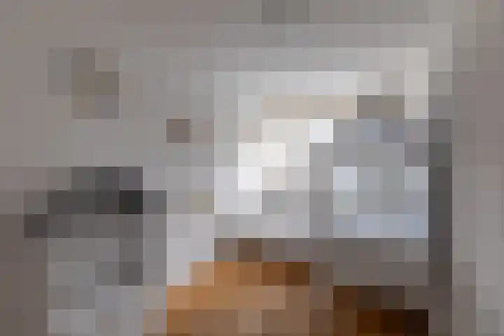 Stikkelwaard 164 Alkmaar thumbnail 30