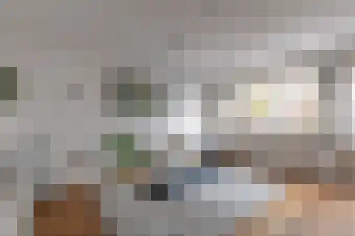 Stikkelwaard 164 Alkmaar thumbnail 33