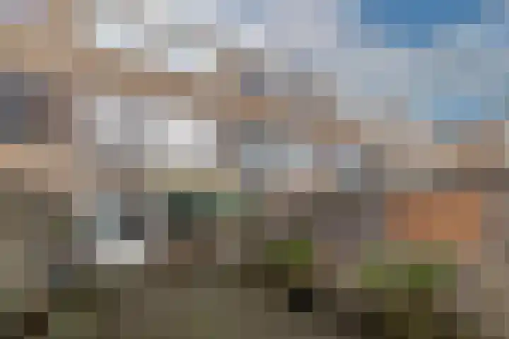 Stikkelwaard 164 Alkmaar thumbnail 38