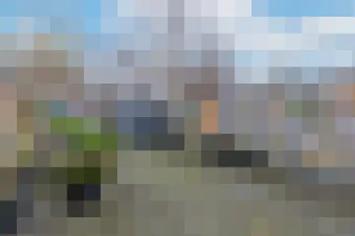 Stikkelwaard 164 Alkmaar thumbnail 40