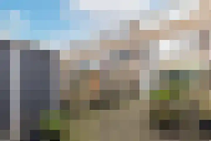 Stikkelwaard 164 Alkmaar thumbnail 41