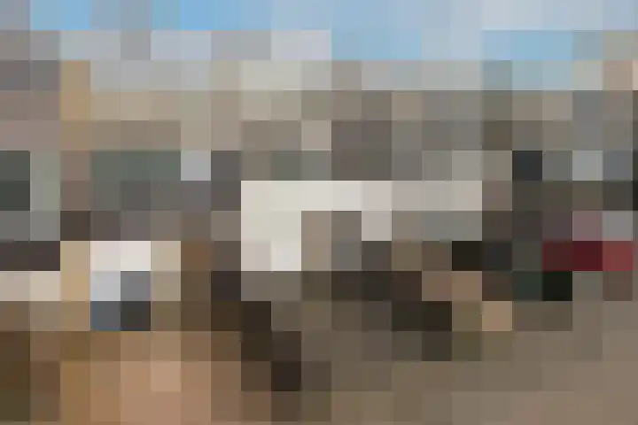 Stikkelwaard 164 Alkmaar thumbnail 43