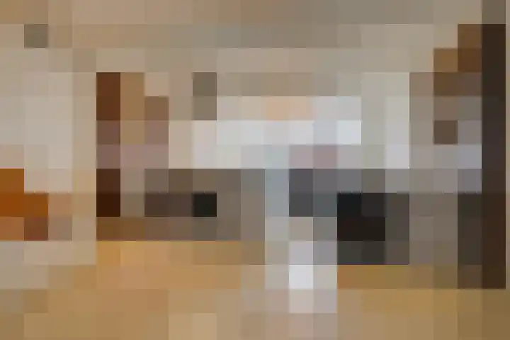Stikkelwaard 168 Alkmaar thumbnail 24