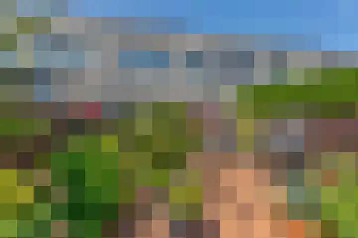 Stikkerpad 12 Rotterdam thumbnail 10