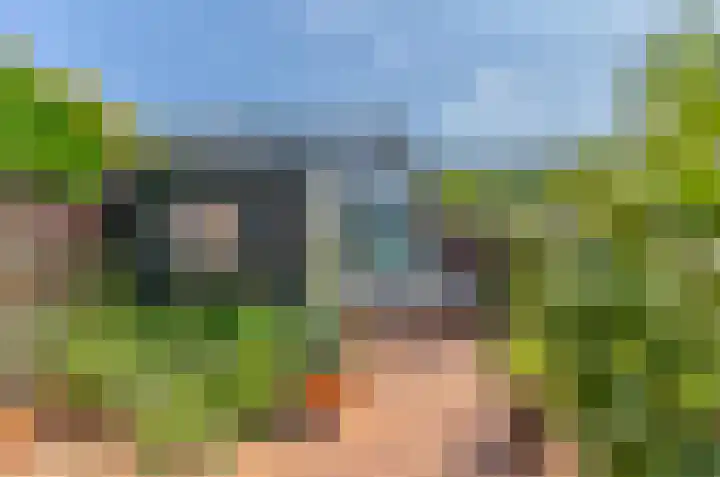 Stikkerpad 12 Rotterdam thumbnail 12