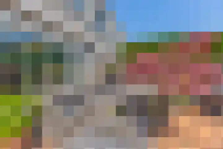 Stikkerpad 12 Rotterdam thumbnail 13