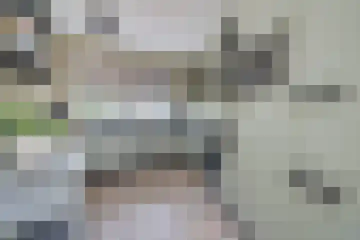 Stikkerpad 12 Rotterdam thumbnail 14