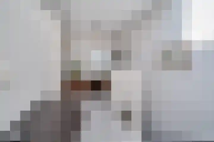 Stikkerpad 12 Rotterdam thumbnail 17