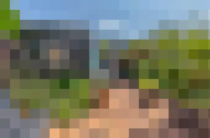 Stikkerpad 12 Rotterdam thumbnail 23