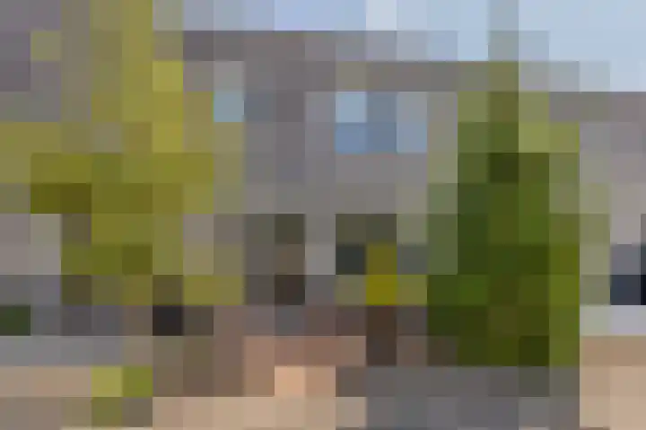 Stikkerpad 12 Rotterdam thumbnail 24