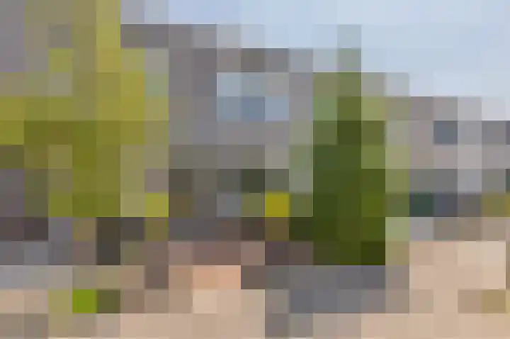 Stikkerpad 12 Rotterdam thumbnail 26
