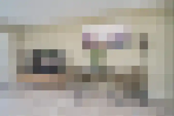 Stikkerpad 12 Rotterdam thumbnail 6