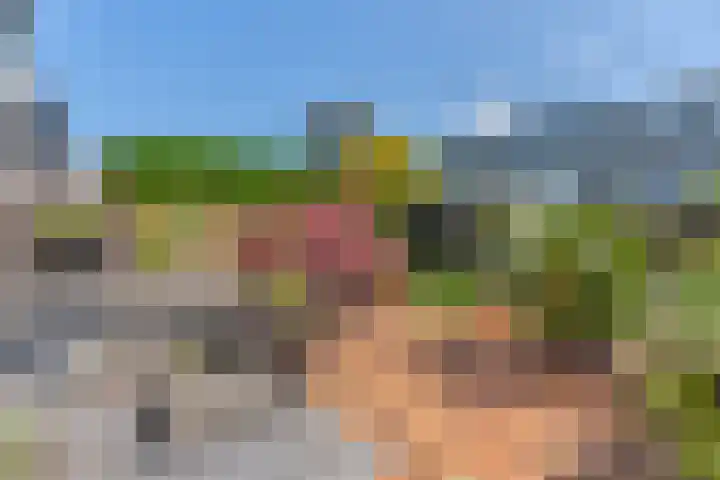 Stikkerpad 12 Rotterdam thumbnail 8