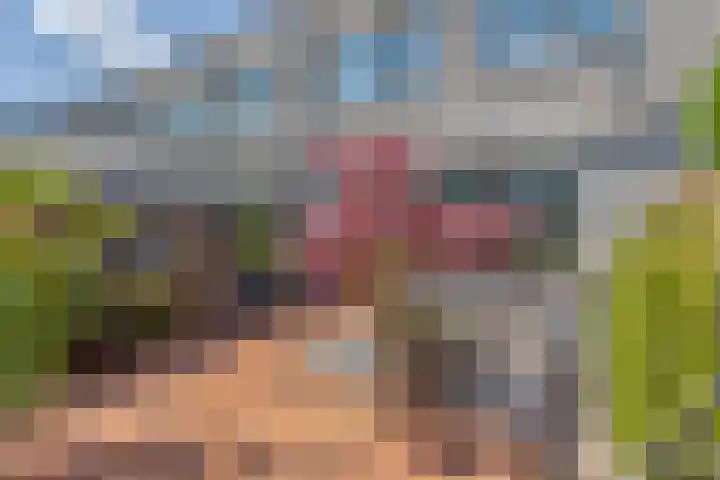 Stikkerpad 12 Rotterdam thumbnail 9