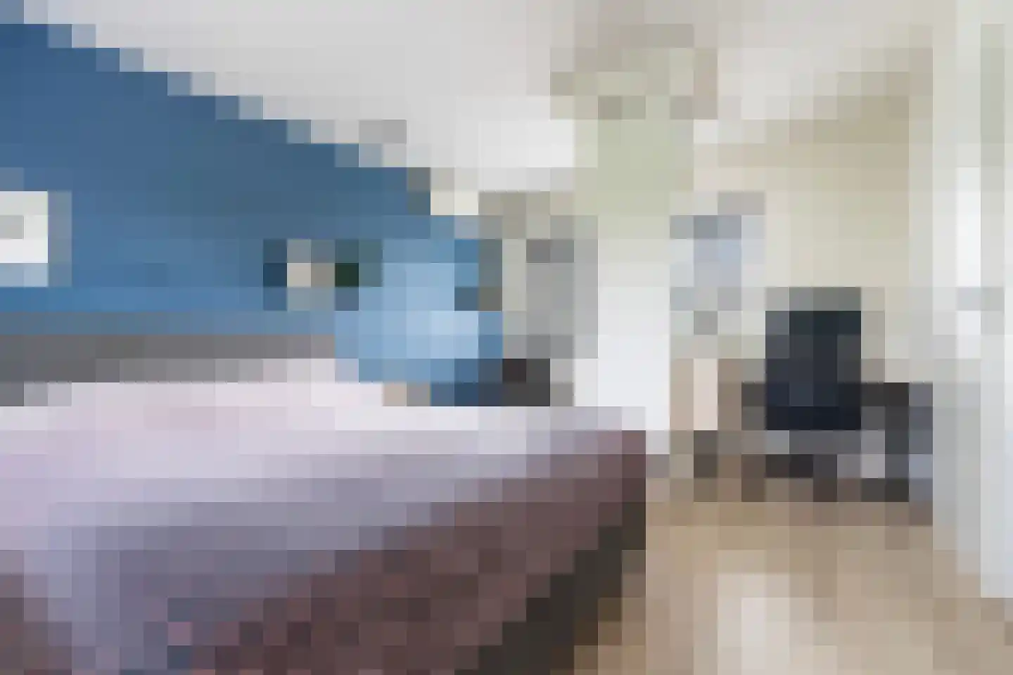 Stikkerpad 2 Rotterdam thumbnail 24