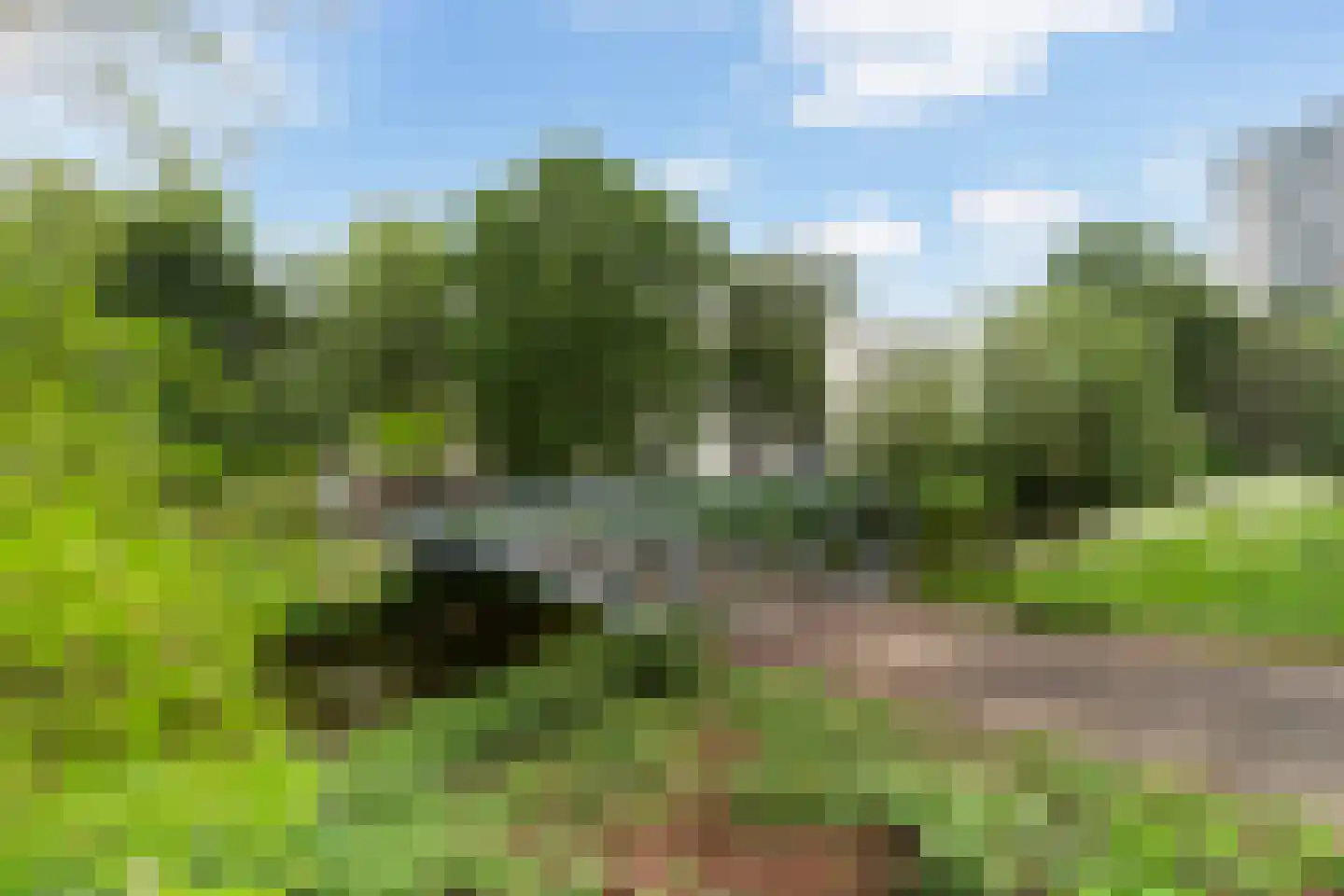 Stikkerpad 2 Rotterdam thumbnail 59