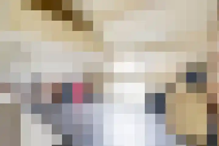 Stikkerstraat 19 Goes thumbnail 19