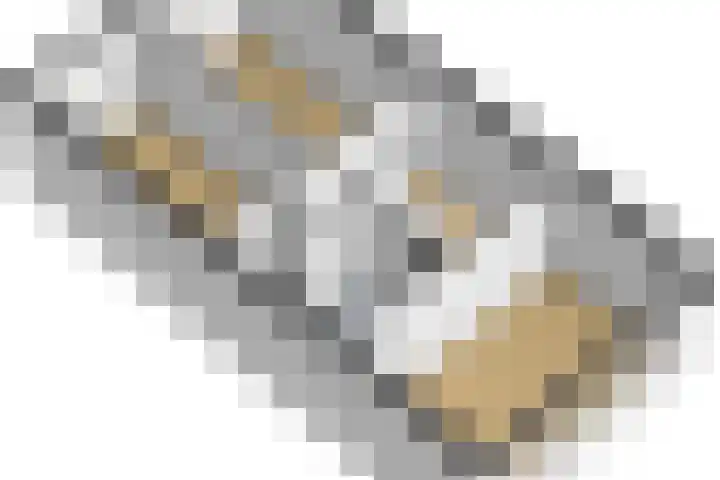 Stikkerstraat 19 Goes thumbnail 35