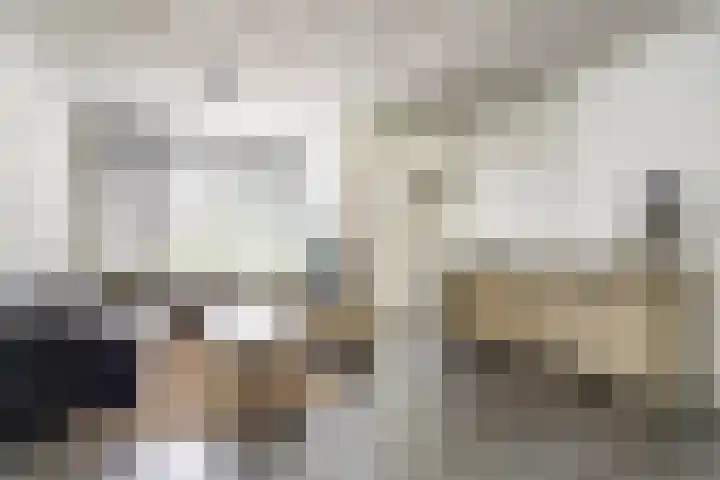 Stikkerstraat 19 Goes thumbnail 7