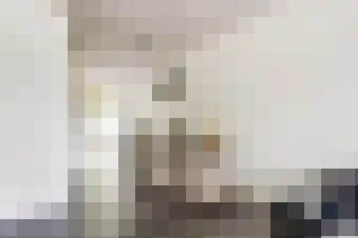 Stikkerstraat 19 Goes thumbnail 8