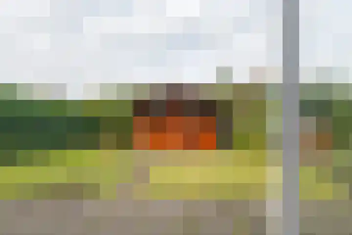 Stikkerstraat 30 Schoonoord thumbnail 39