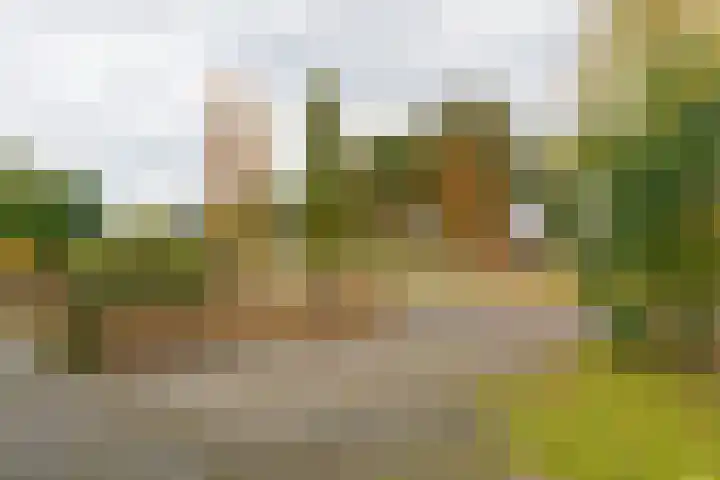 Stikkerstraat 30 Schoonoord thumbnail 5