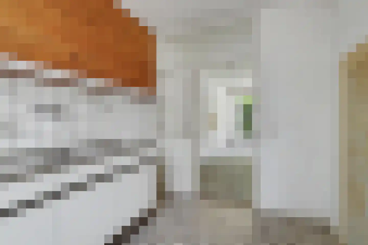 Stikkerstraat 38 Goes thumbnail 14