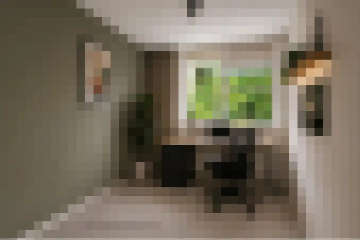 Stikkerstraat 38 Goes thumbnail 21