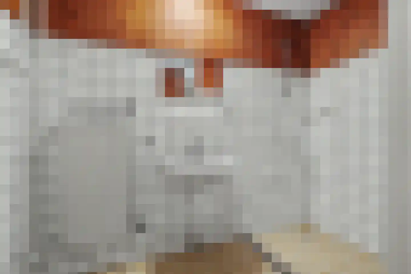 Stikkerstraat 38 Goes thumbnail 26