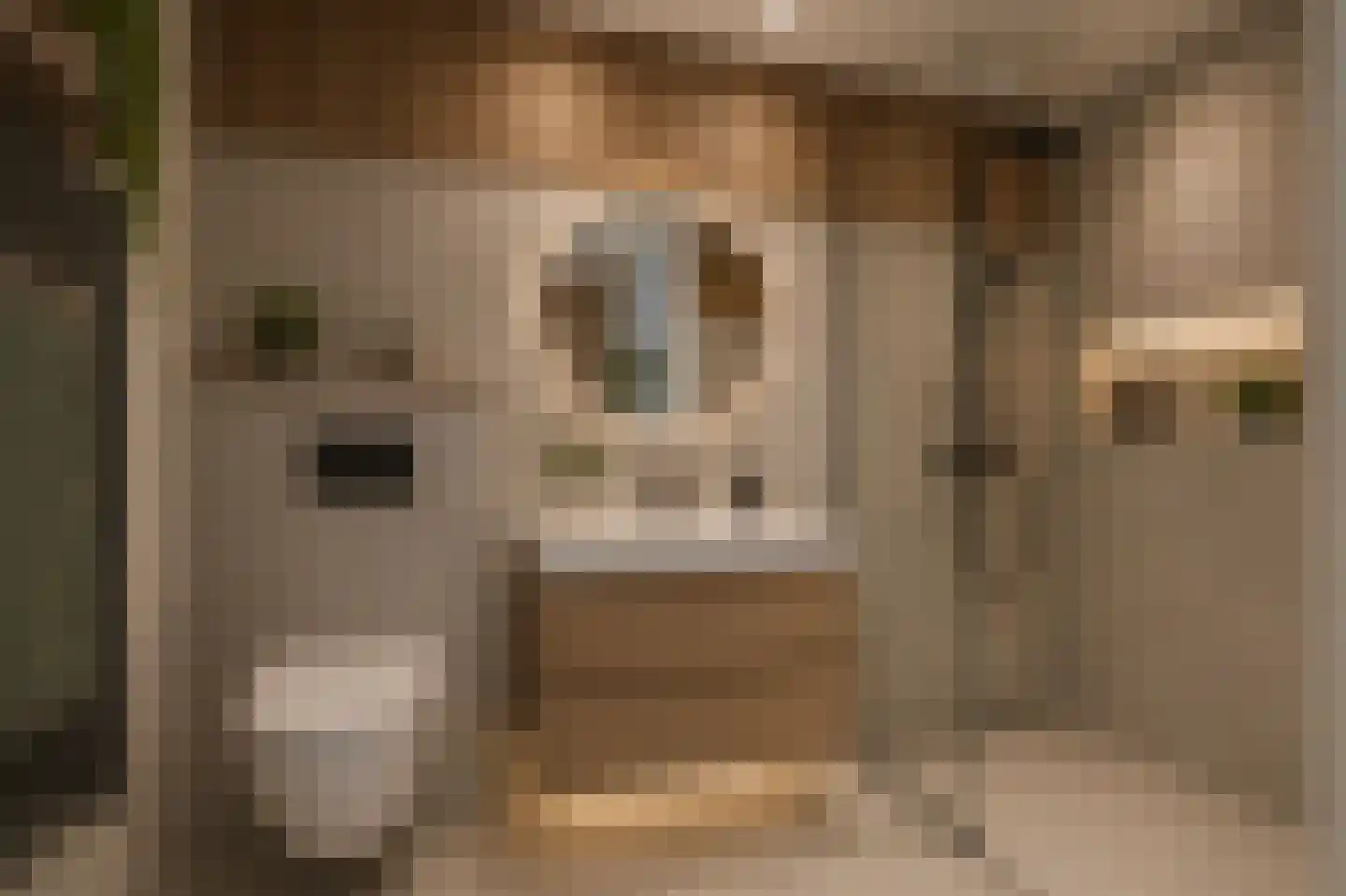 Stikkerstraat 38 Goes thumbnail 27