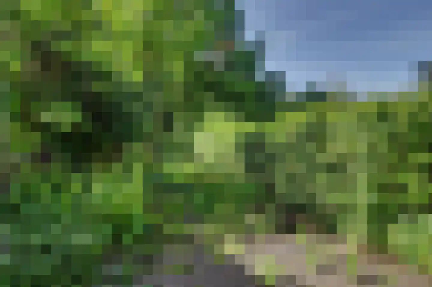 Stikkerstraat 38 Goes thumbnail 33