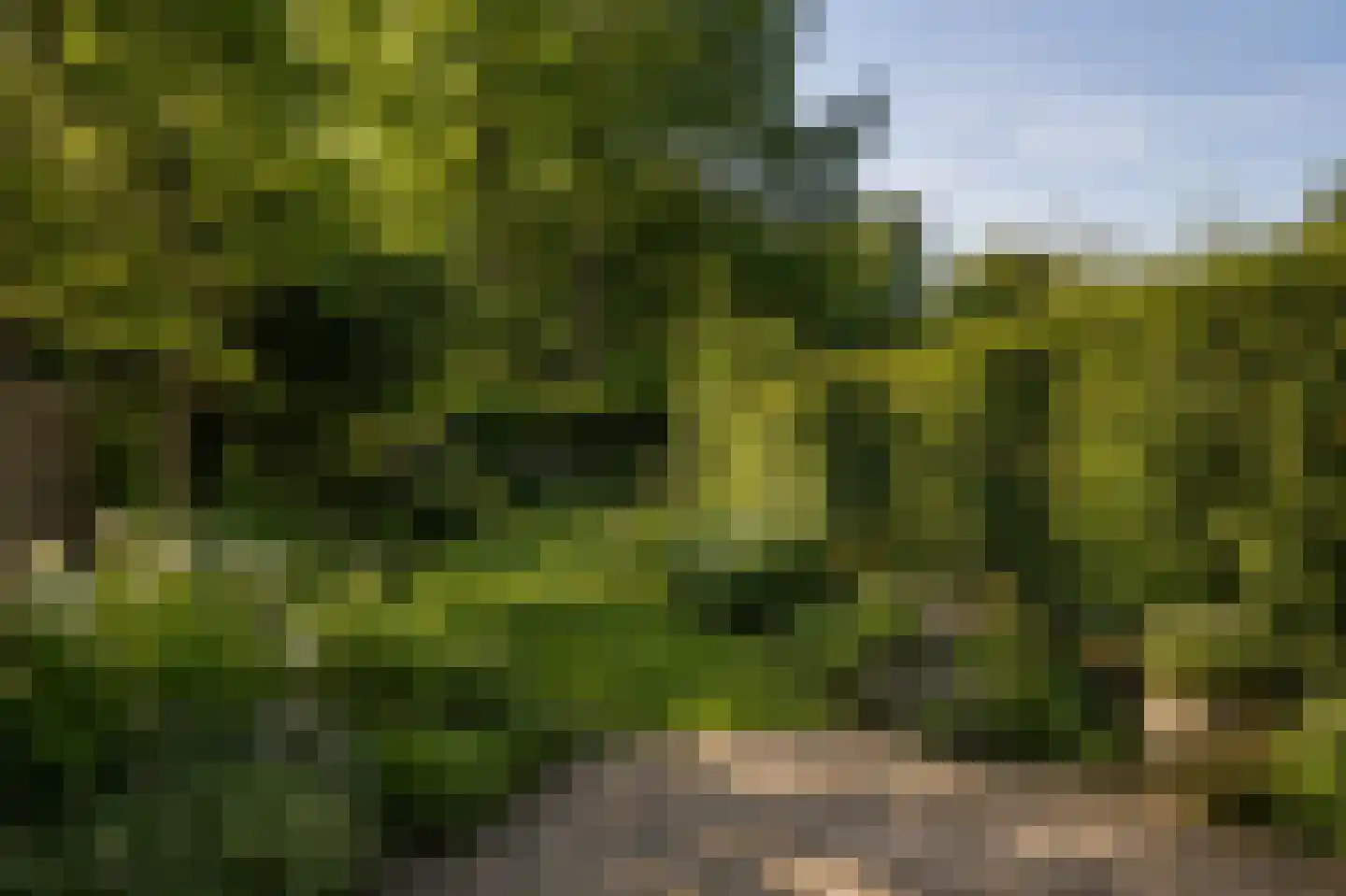 Stikkerstraat 38 Goes thumbnail 34