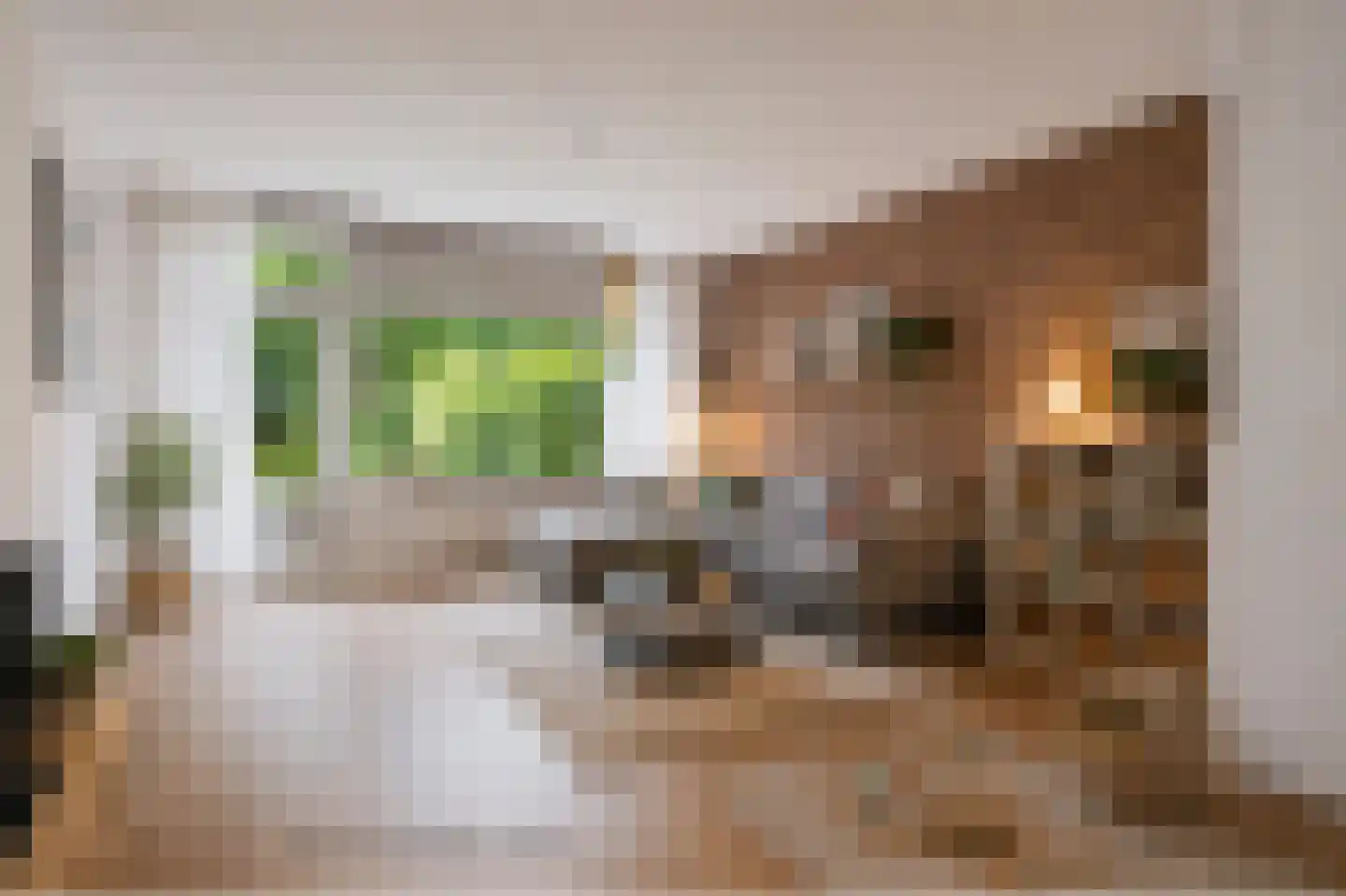 Stikkerstraat 38 Goes thumbnail 9